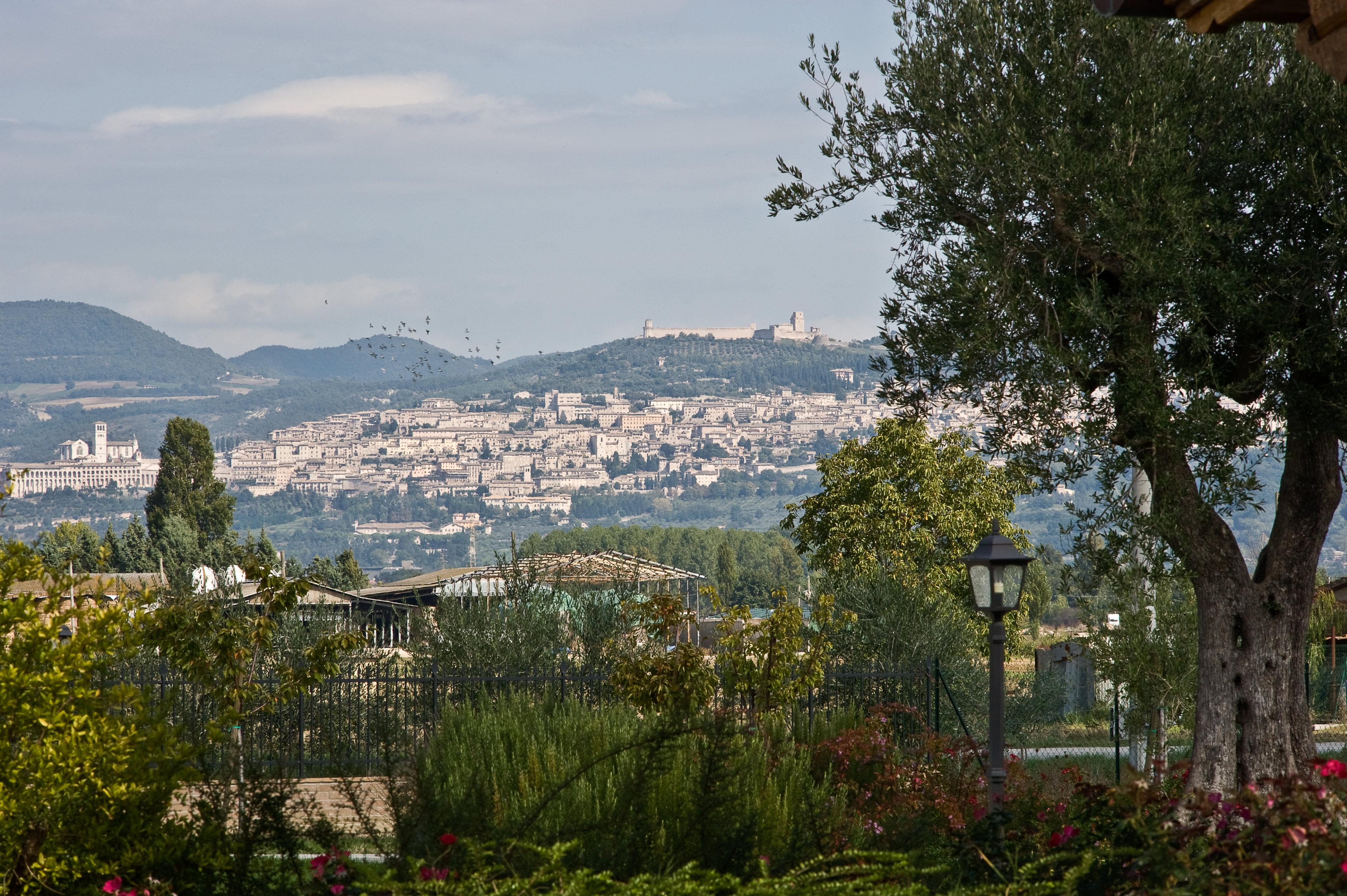 Agriturismo Le Rondini Di Francesco Di Assisi Cannara Buitenkant foto
