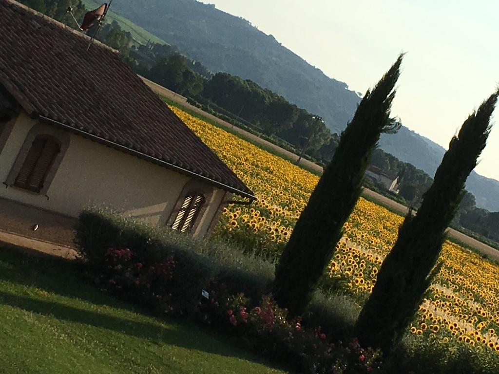 Agriturismo Le Rondini Di Francesco Di Assisi Cannara Buitenkant foto