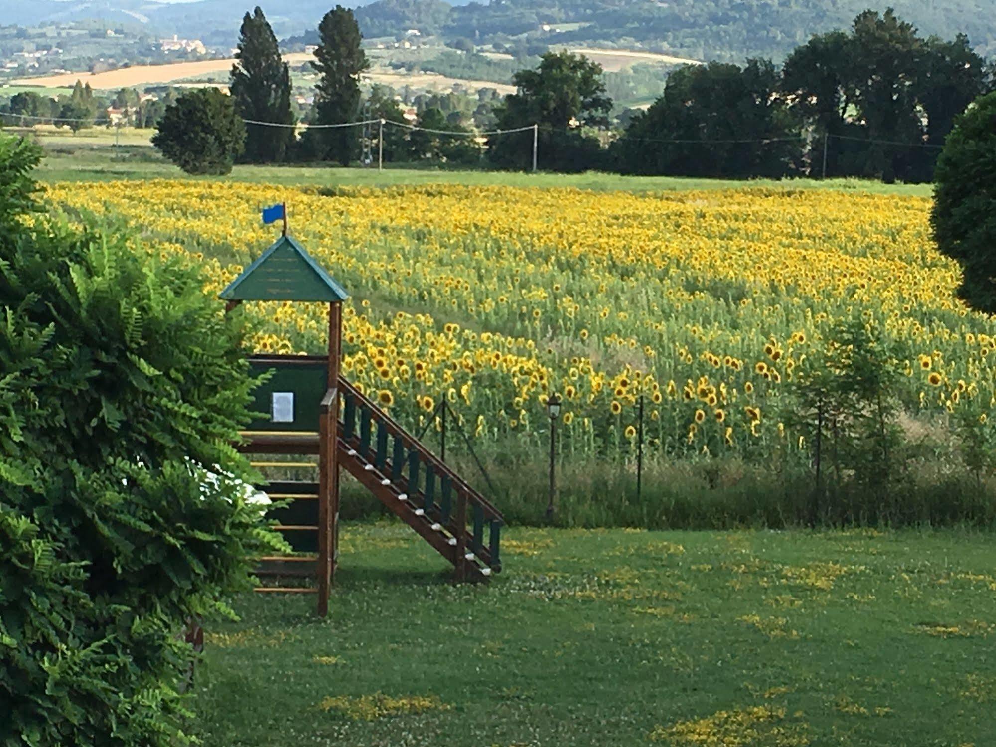 Agriturismo Le Rondini Di Francesco Di Assisi Cannara Buitenkant foto